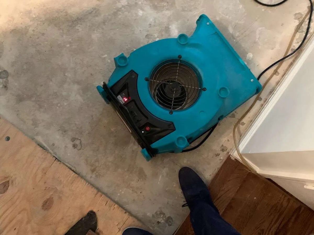 Air mover drying subfloor during Leak Detection & Repair in Mendham